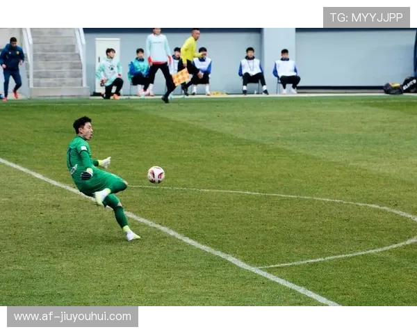 围绕哈嘹足球场冲突事件的深度解析与社会影响探讨趋势及其背后原因